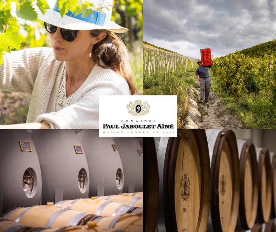 Paul Jaboulet Aîné: Caroline Frey, vignobles et chai