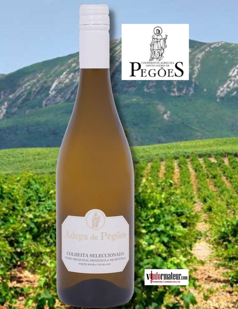 Adega de Pegoes, Colheita Seleccionada, Portugal, Péninsule de Sétubal, Cooperativa Agricola de Santo Isidro de Pegoes, vin blanc, 2024