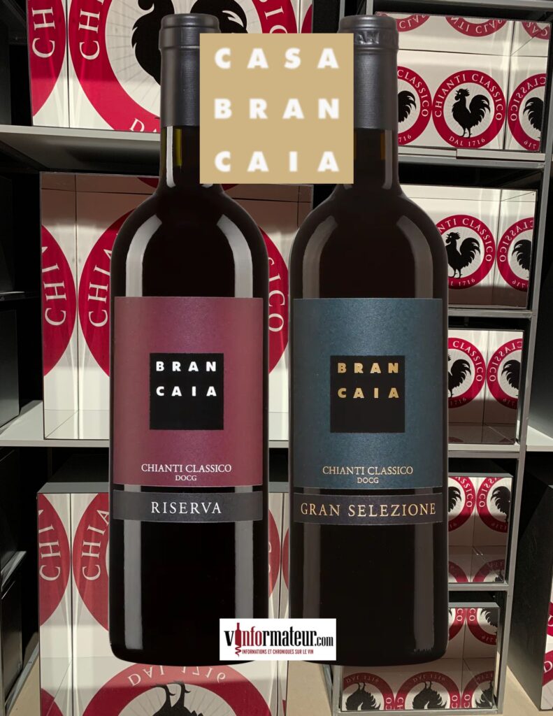 Brancaia