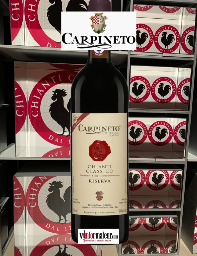 Carpineto