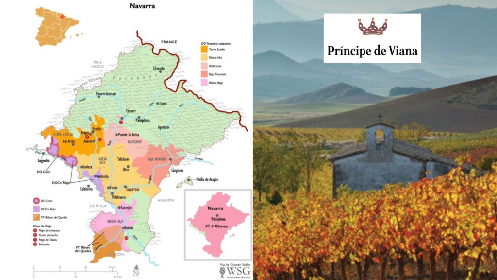 Carte viticole Espagne Navarre