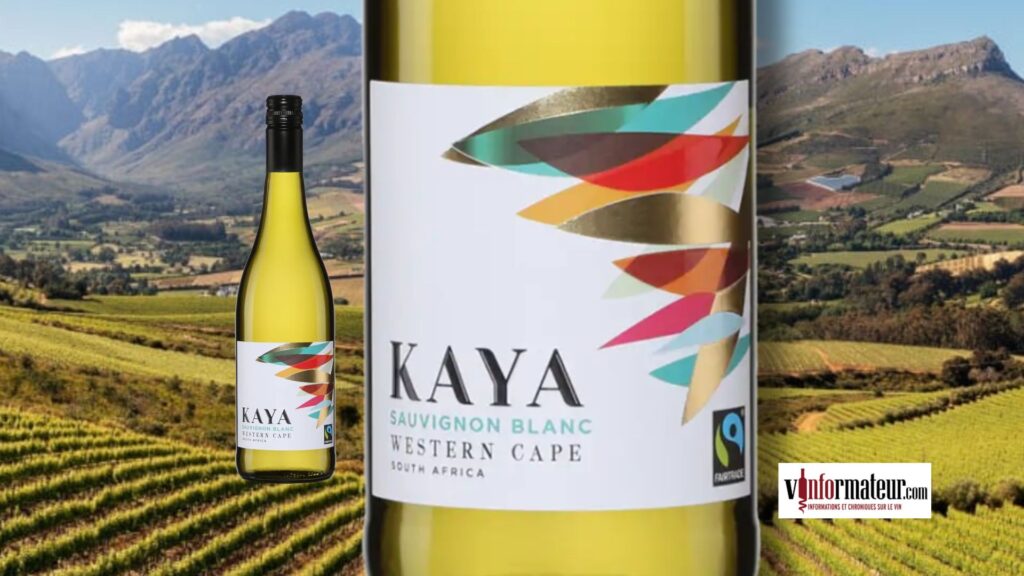 Kaya Sauvignon Blanc : fraîcheur du Western Cape à 15,60 $