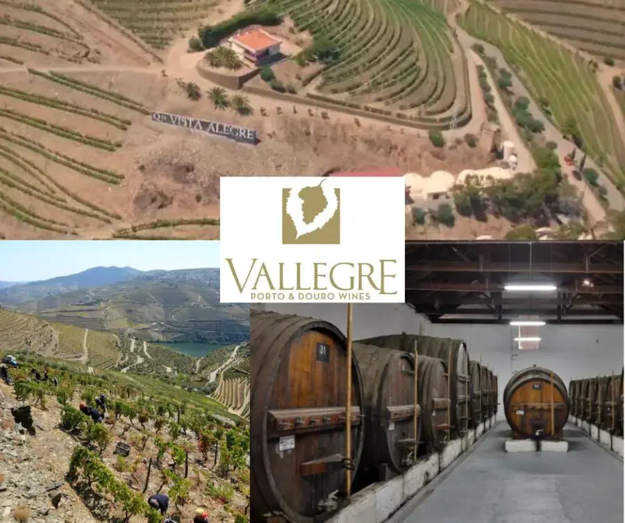 Vallegre Vinhos do Porto: vignobles et chai