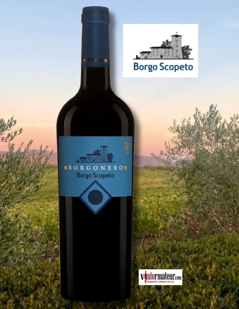 Borgo Scopeto, Borgonero, Tosacane IGT, vin rouge, 2022 bouteille