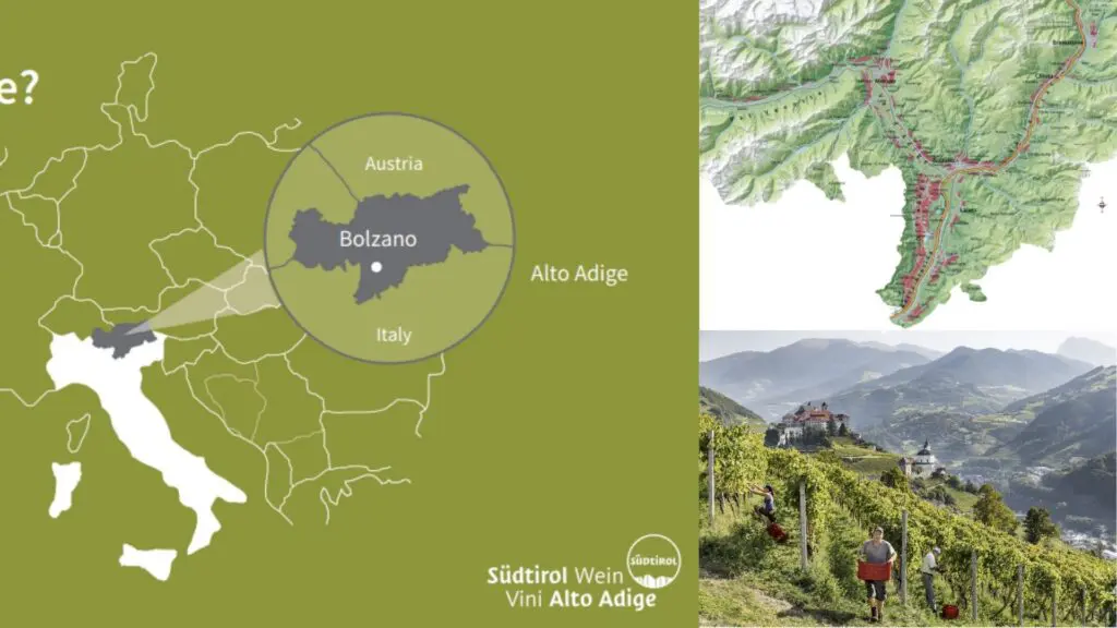 Carte viticole Alto Adige DOC