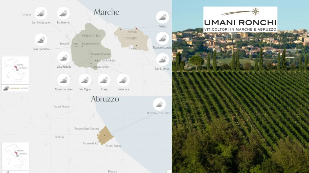 Carte viticole Umani Ronchi