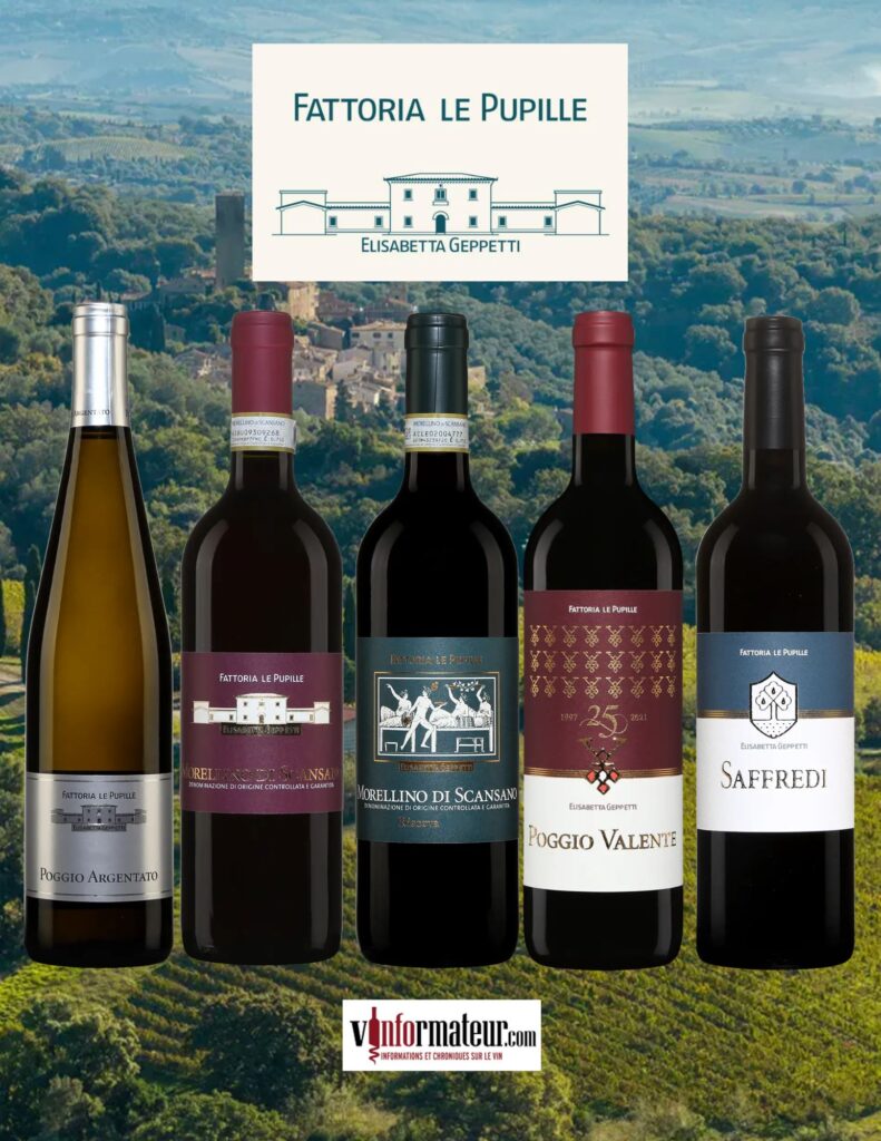 Dégustation des vins de Fattoria Le Pupille bouteilles