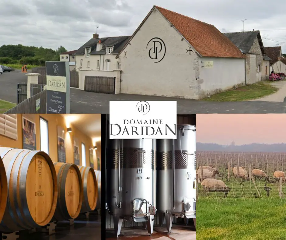 Domaine Daridan: chai et vignobles