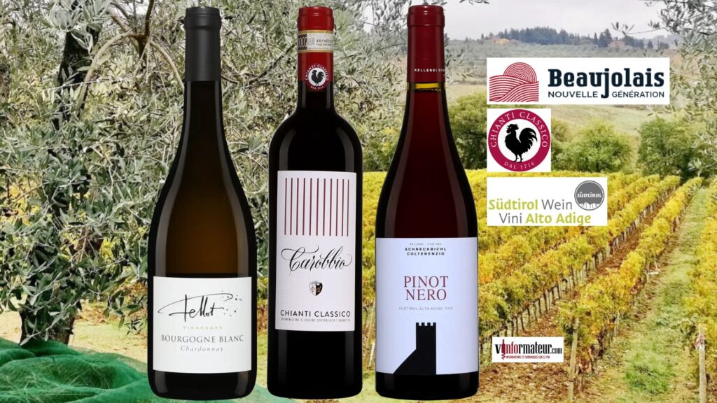 🍷 Pourquoi ces trois vins m’ont donné envie de me resservir un verre…