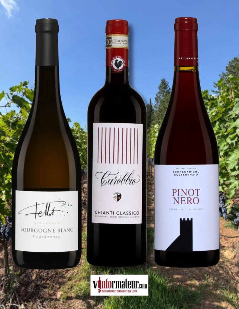 3 valeurs sûres: Fellot, Carobbio et Colterenzio bouteilles