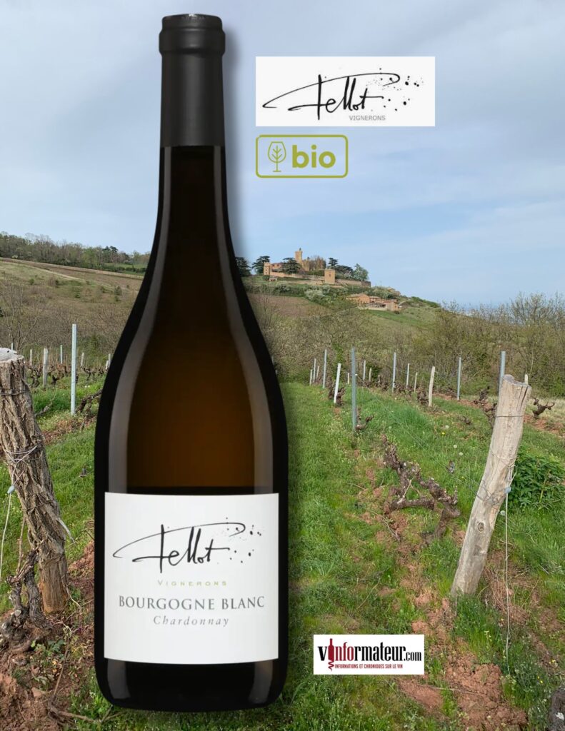Chardonnay, Bourgogne blanc (Beaujolais), Domaine Emmanuel Fellot, vin blanc bio, 2024 bouteille