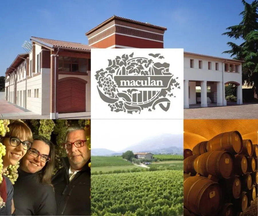 Cantina Maculan: famille Maculan, chai et vignobles