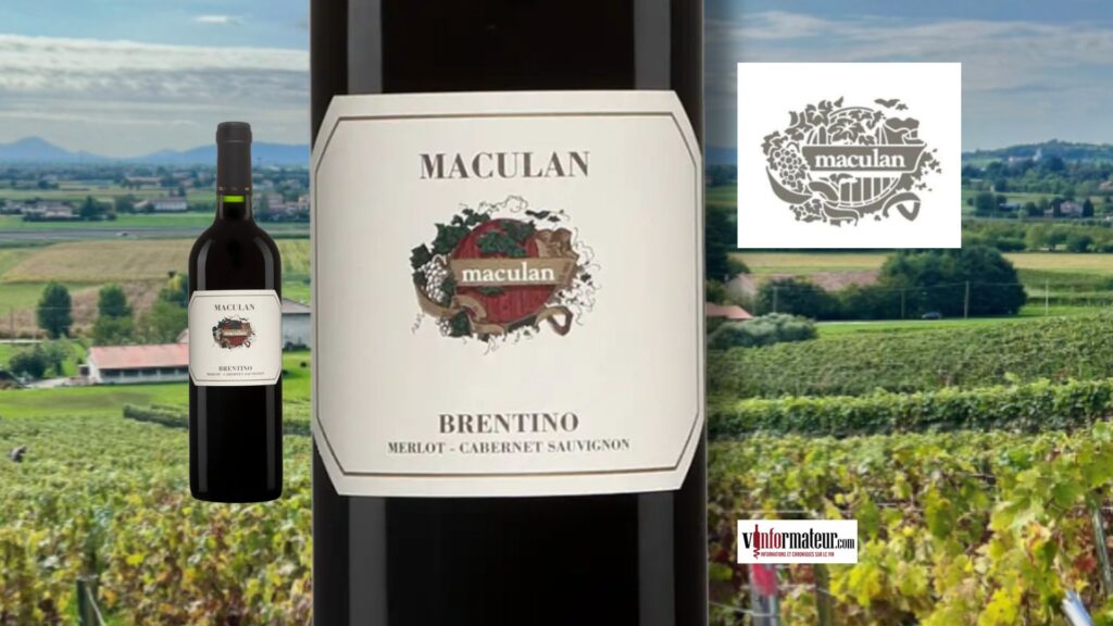 Maculan, Brentino. 🍷 Un rouge italien velouté à 21,30 $ qui séduit dès la première gorgée