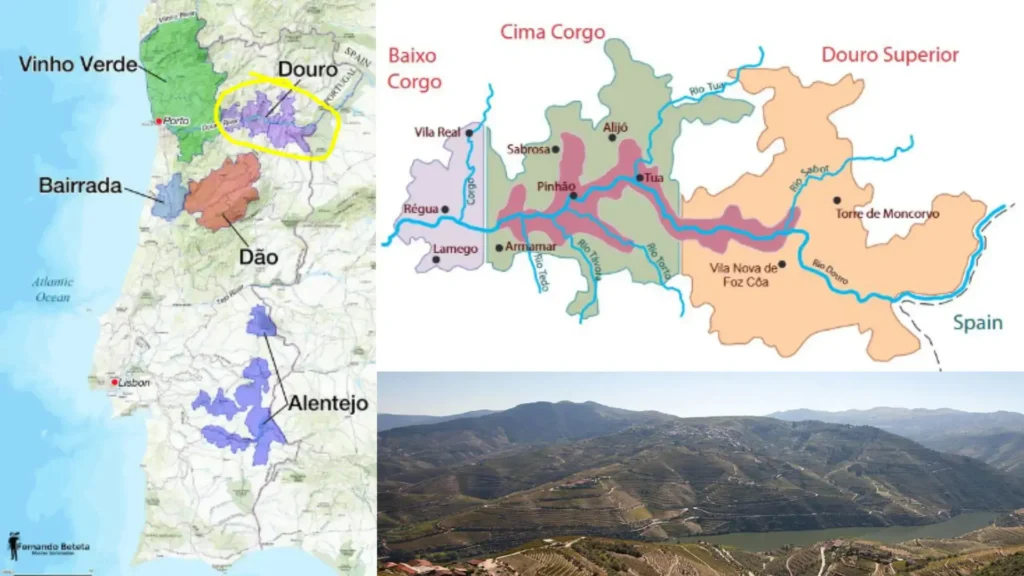 Carte viticole Douro Portugal