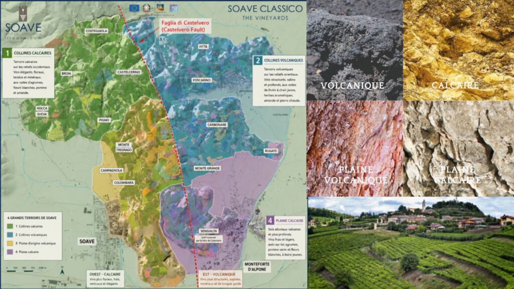 Carte viticole Soave et terroirs
