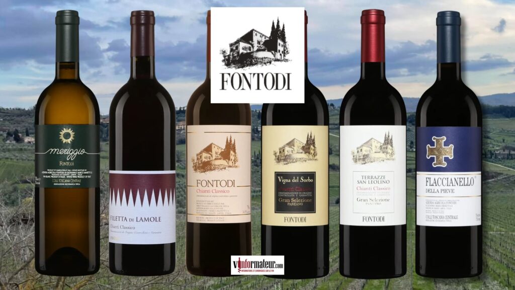 Entre terroir et émotion : un moment unique avec les vins de la maison Fontodi
