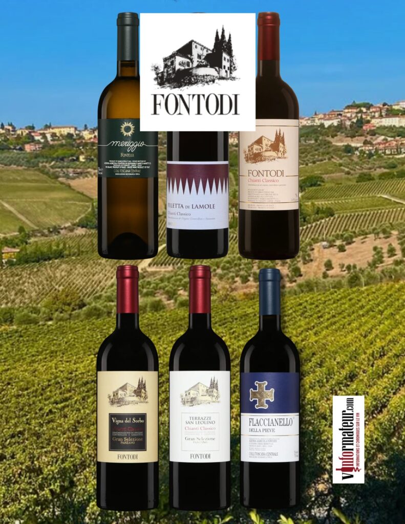 Dégustation vins Fontodi bouteille