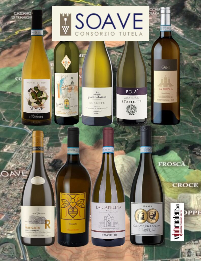 Dégustation des vins de l'appellation Soave bouteilles