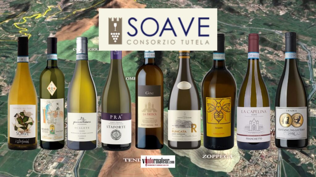 Soave : un terroir beaucoup plus complexe qu’il n’y paraît
