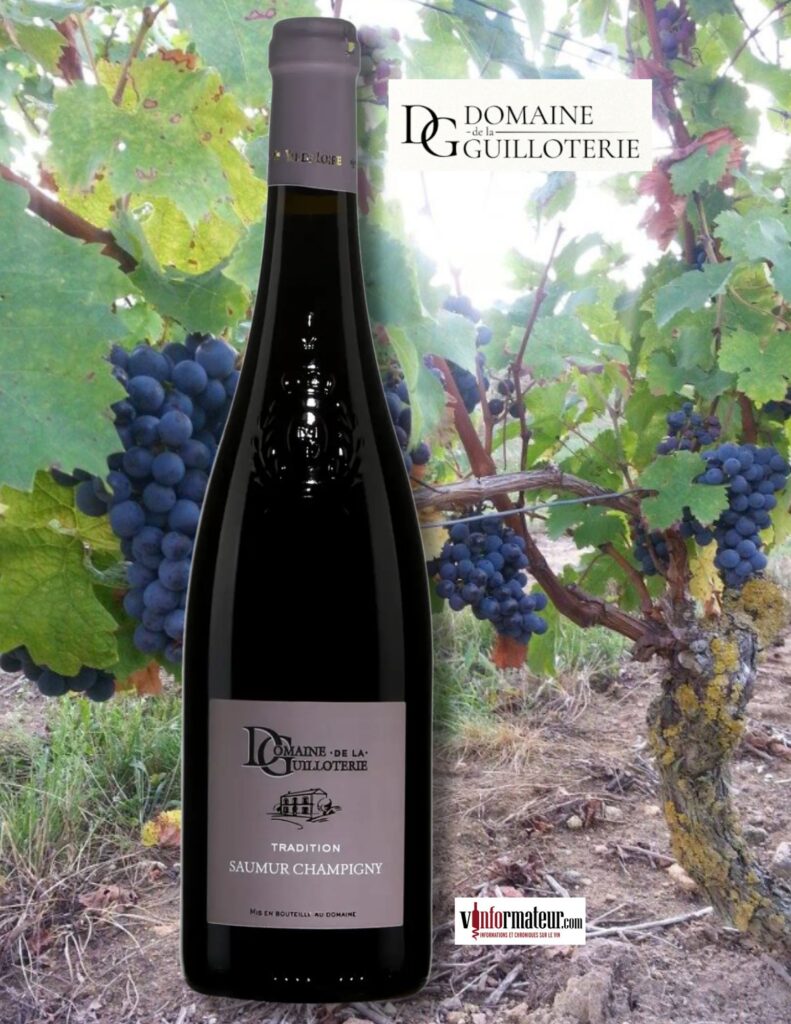 Domaine de la Guilloterie, Cuvée Tradition, France, Val de Loire, Saumur Champigny AOP, Duveau Frères, 2023 bouteille
