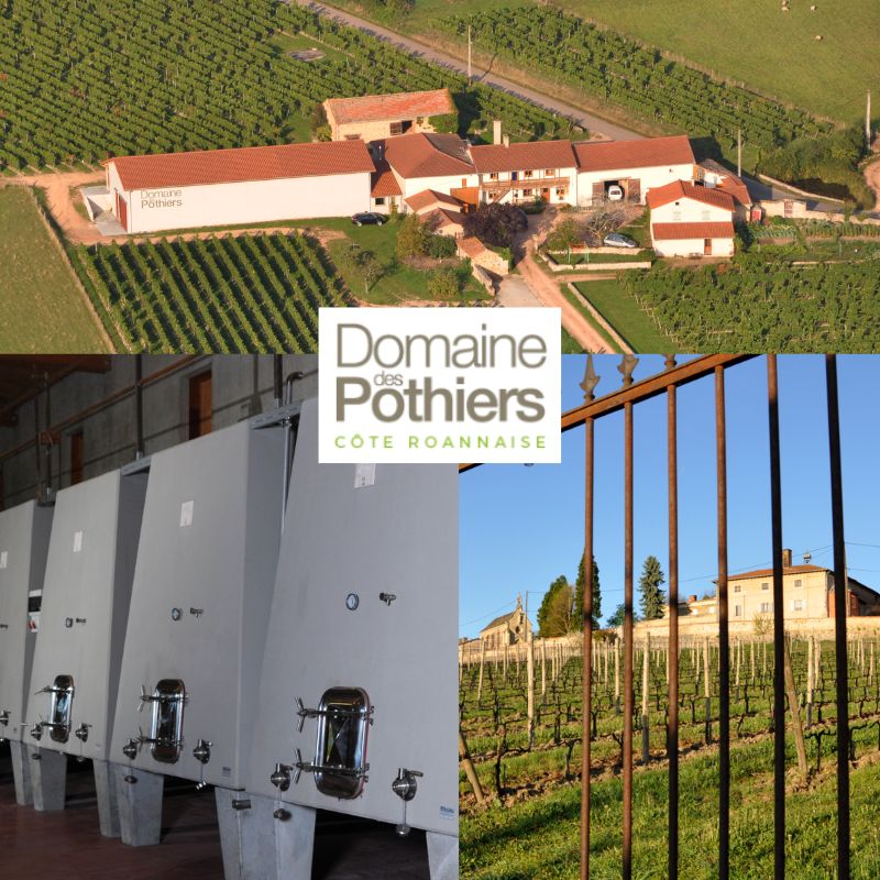 Domaine des Pothier: chai et vignobles