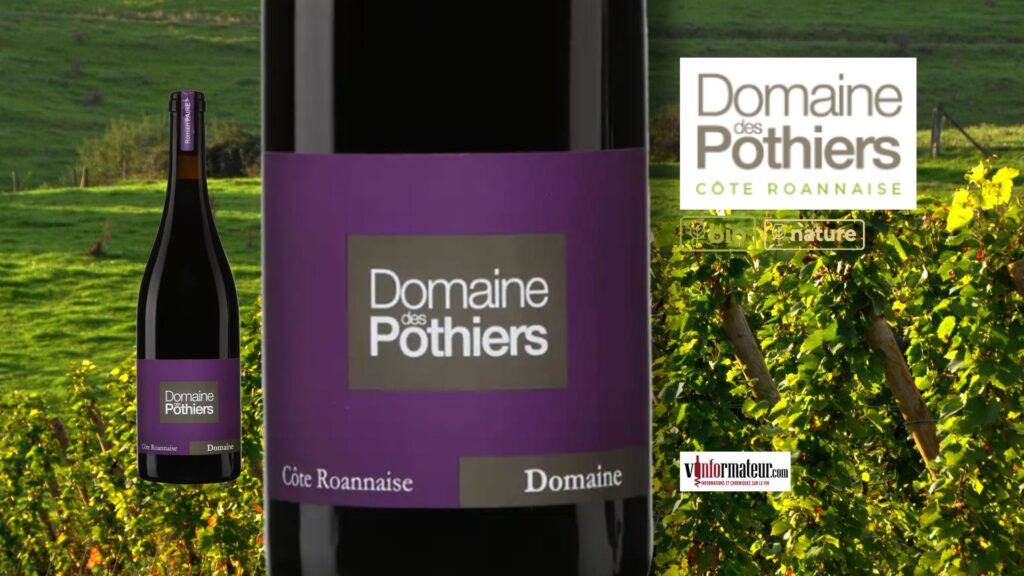 🍷 Ce rouge bio de la Loire à 26 $ pourrait surprendre les amateurs de Pinot Noir et de Beaujolais.