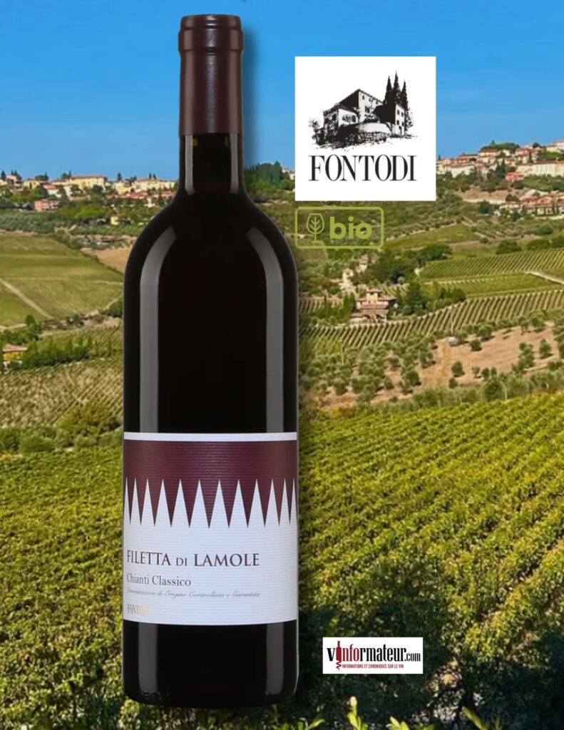 Fontodi, Filetta Di Lamole, Chianti Classico DOCG, vin rouge bio, 2022 bouteille