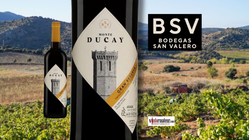 Monte Ducay Gran Reserva 2017 : un vin espagnol de 9 ans d’âge pour moins de 19 $ 🍷