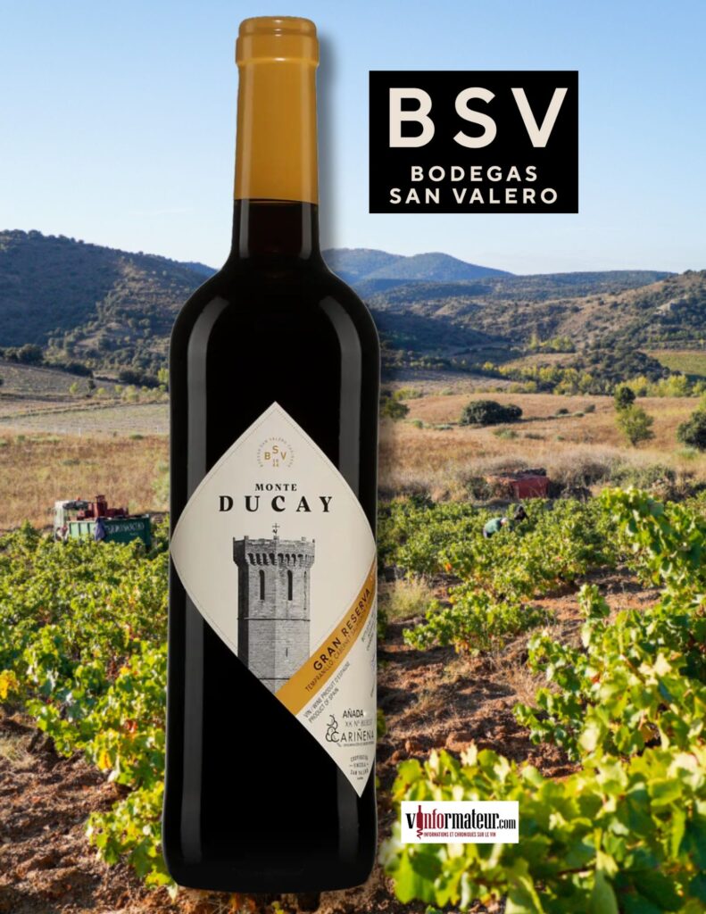 Monte Ducay, Gran Reserva, Espagne, Carinena, vin rouge, 2017 bouteille