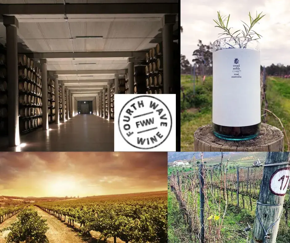 Fourth Wave Winery: chai et vignobles