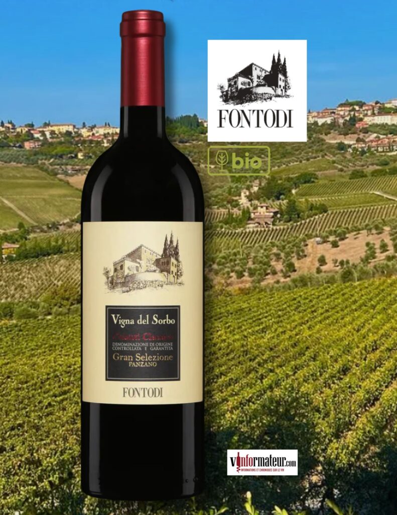 Fontodi, Vigna del Sorbo, Chianti Classico Gran Selezione DOCG, 2022 bouteille