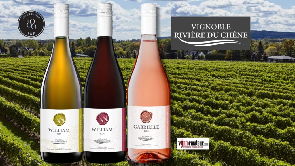 On redécouvre les vins de Gabrielle et de William – Vignoble Rivière du Chêne.