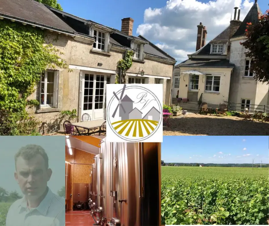 Domaine Bellevue - Patrick Vauvy, chai et vignobles