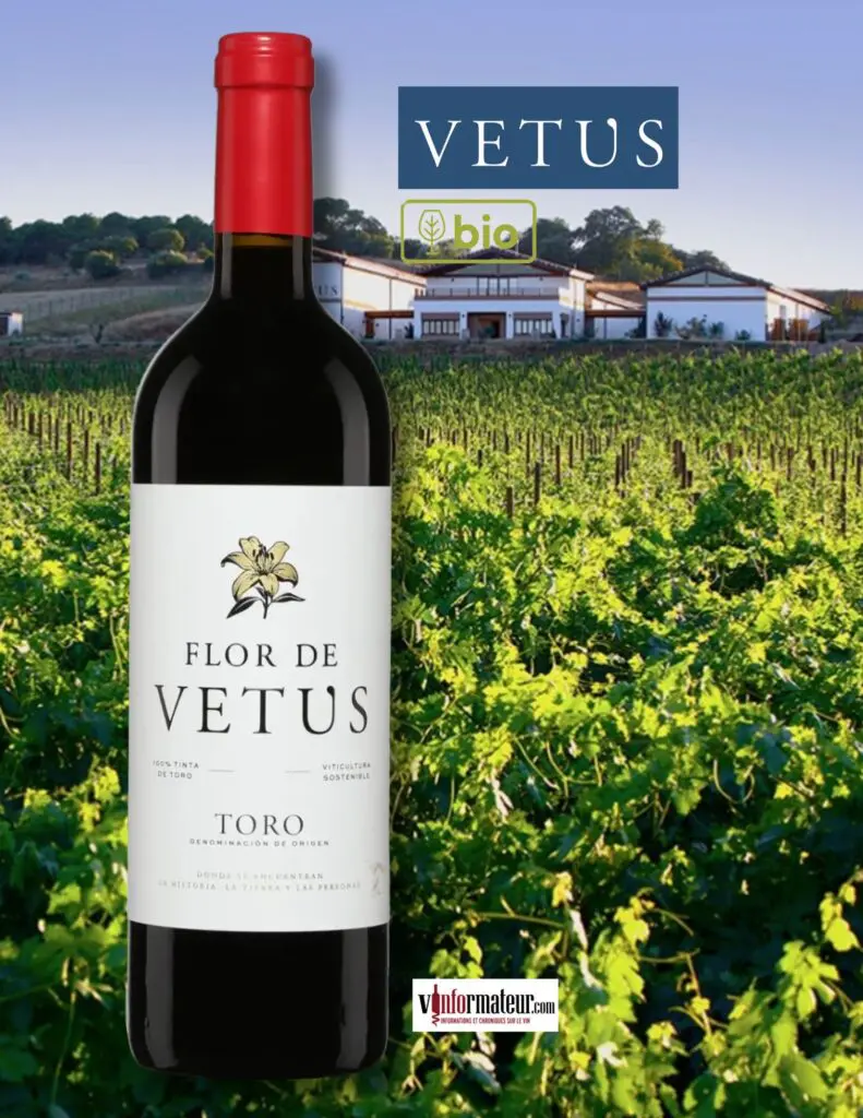 Bodegas Vetus, Flor de Vetus, vin rouge bio, Espagne, D.O. Toro, 2021 bouteille