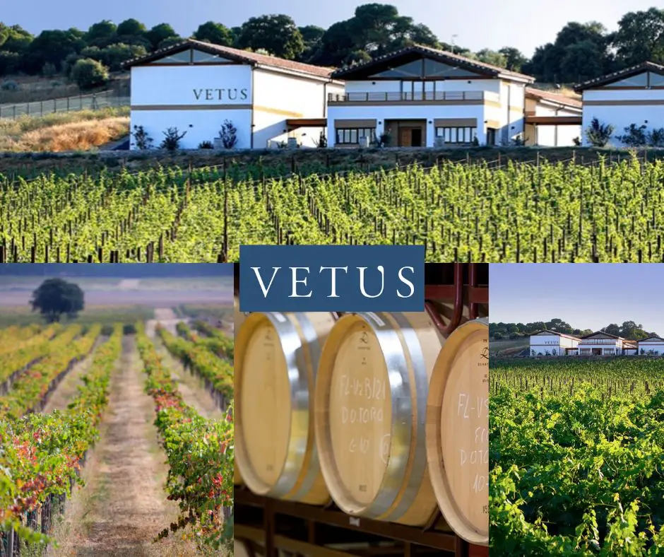 Bodegas Vetus: chai et vignobles