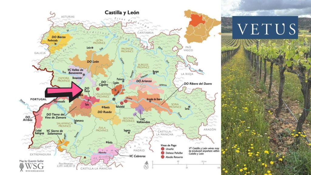 Carte viticole Toro DO