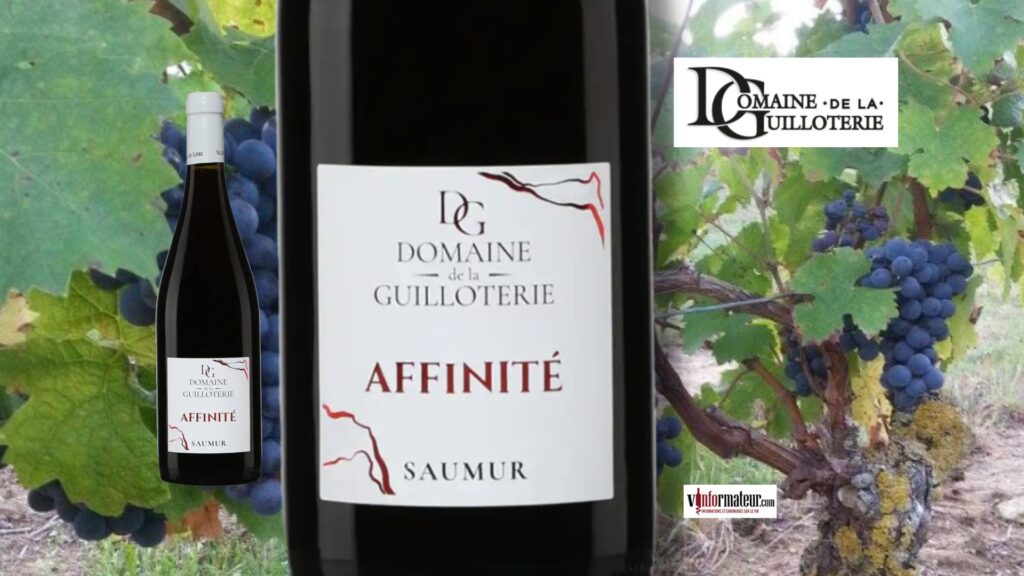 Saumur 2024 : quand le savoir-faire du vigneron fait toute la différence