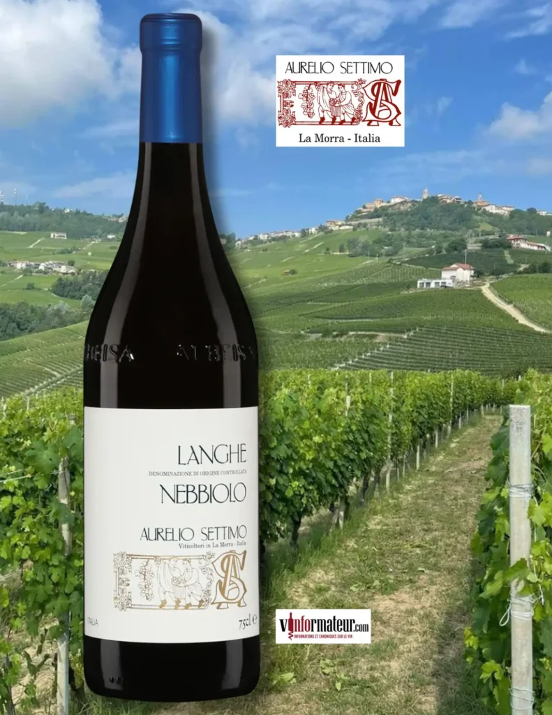 Nebbiolo, Aurelio Settimo, Langhe Nebbiolo DOC, vin rouge, 2022 bouteille