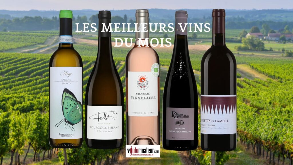 🍷 Mes 5 vins du mois : cinq régions, cinq personnalités, un même plaisir