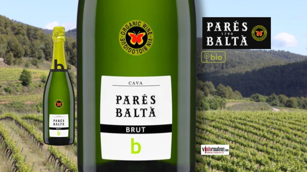 🥂 Ce mousseux bio espagnol à moins de 19 $ mérite sa place dans votre sélection de vins mousseux cet été!