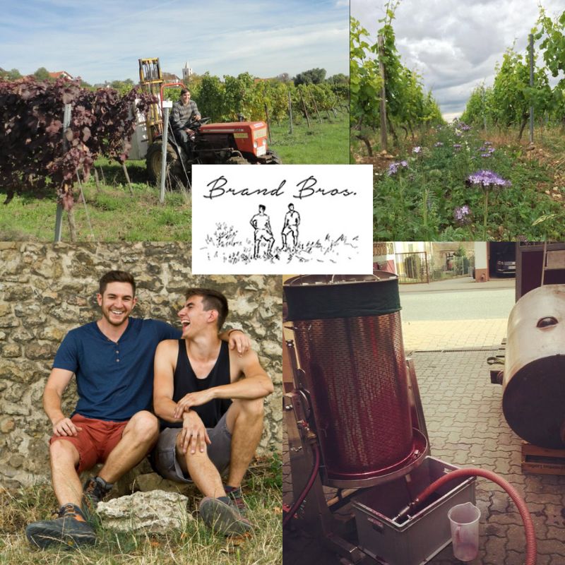 Brand Bros: frères Brand, chai et vignobles