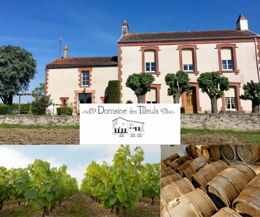 Domaine des Tilleuls - chai et vignobles