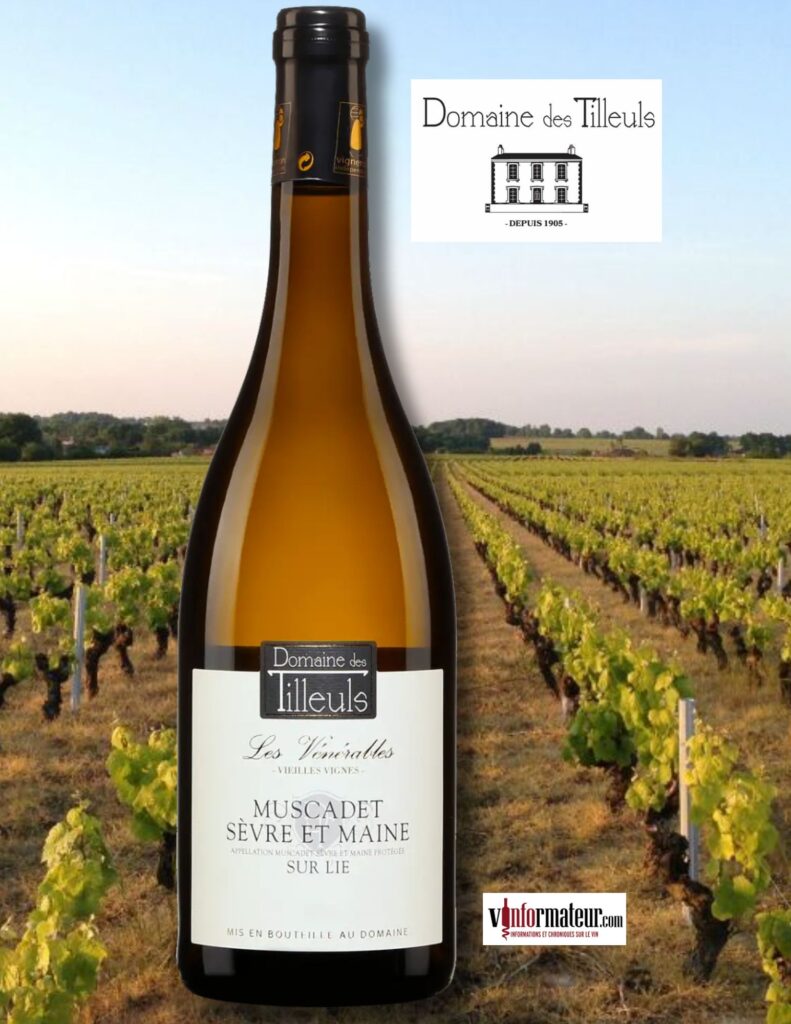 Domaine des Tilleuls, Les Vénérables, France, Val de Loire, Muscadet Sèvre et Maine sur lies, Vieilles Vignes, 2025 bouteille