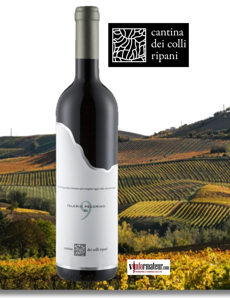 Cantina dei colli Ripani, Falerio Pecorino DOC, vin blanc, 2025 bouteille