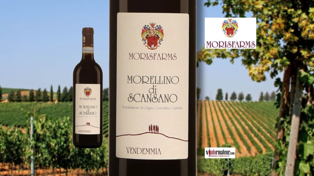 🍒 Morellino di Scansano 2023 : découvrez l&rsquo;autre grande Toscane du Sangiovese