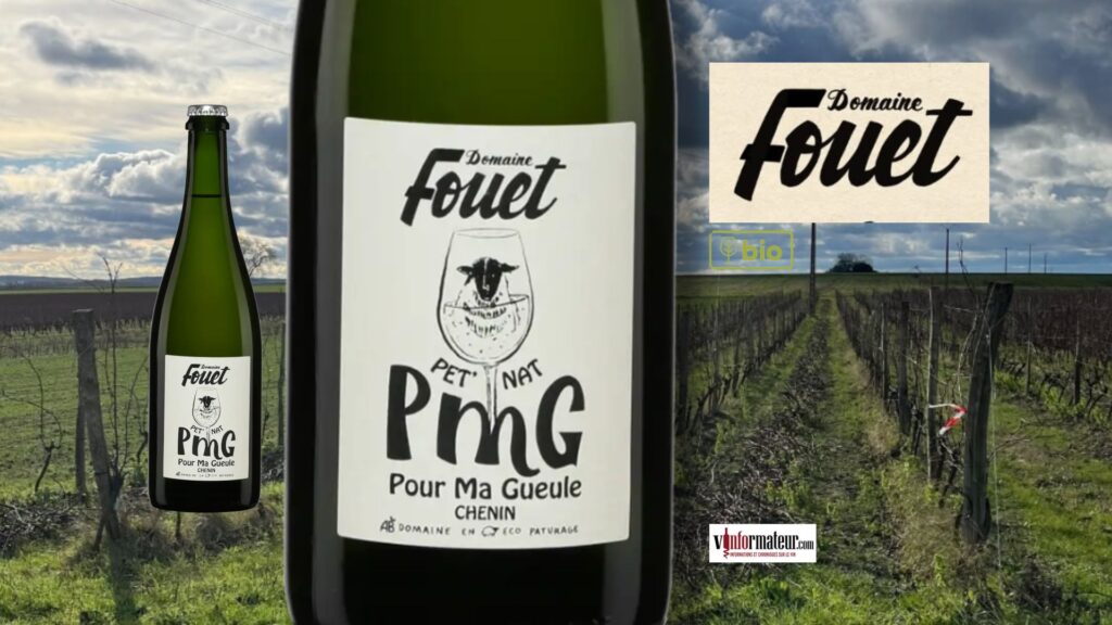 🍾 Domaine Fouet PMG : un remarquable Pét-Nat bio élaboré selon la méthode ancestrale