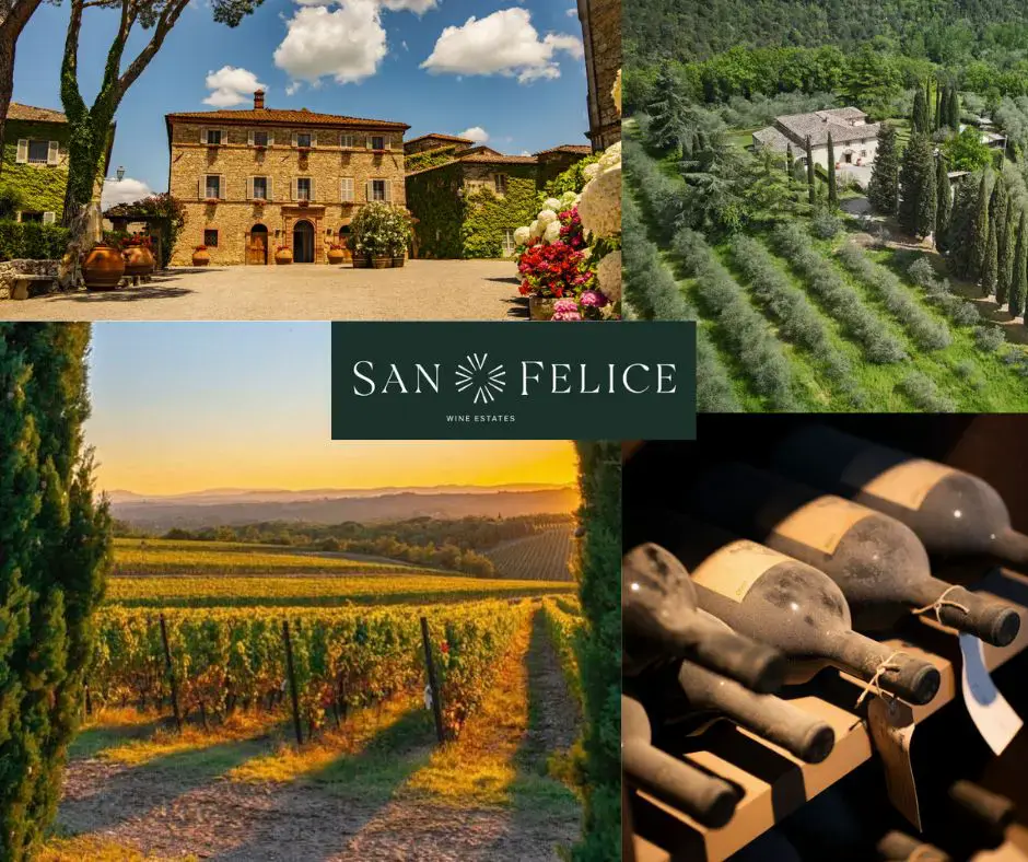 Agricola San Felice : chai et vignobles