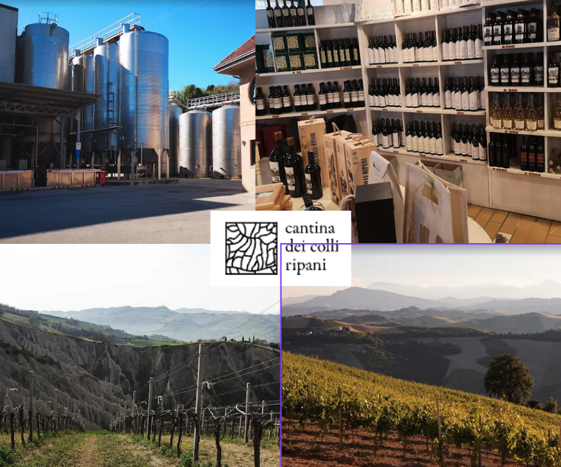 Cantina dei colli Ripani: chai et vignobles