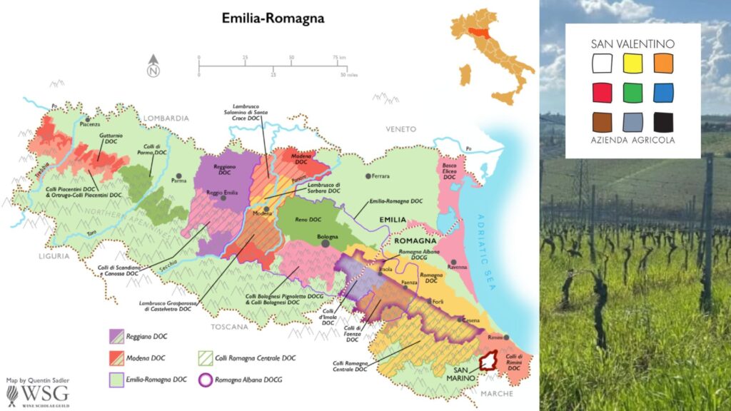 Carte viticole Émilie Romagne