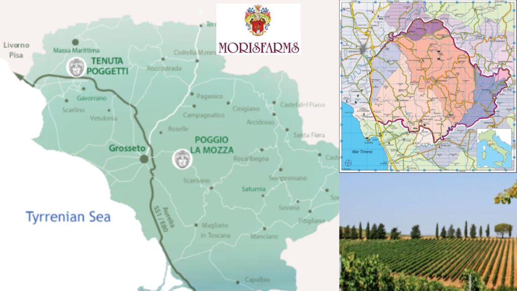 Carte viticole: Morellino di Scansano, Maremma